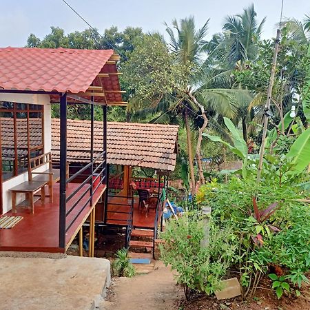 فندق Shiv Sai Huts كِناكونا المظهر الخارجي الصورة